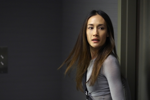 Not only is Maggie Q's escaped Division agent one kickass woman 